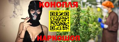 крисы Севастополь