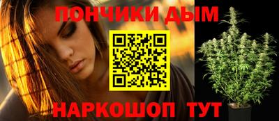 крисы Севастополь