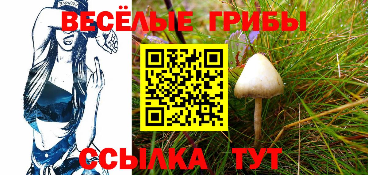 где купить наркоту  Псилоцибиновые грибы прущие грибы  Вход с VPN  Ростов Великий 